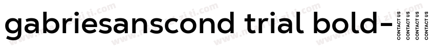 gabriesanscond trial bold字体转换